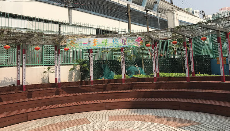 郭一苇中学「悦学轩」，花棚凉亭，鱼菜共生，加上书法练习台，供学生用清水也可练字，中国文化氛围又自成一阁。