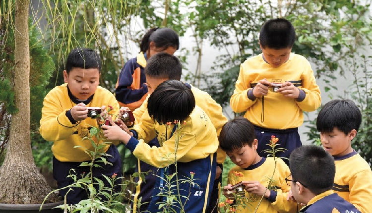教育传媒：学校虽然位置较为偏远，但其森林般的校园设计却是其珍贵之处，让小朋友从小培养亲近大自然的兴趣。