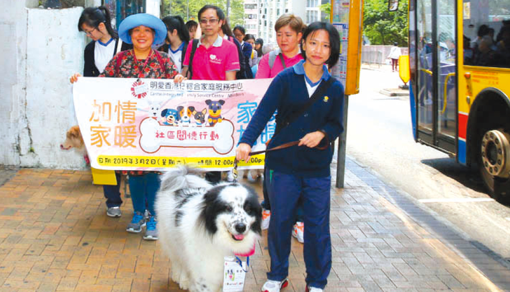 教育传媒：宠物新春送暖巡游，向区内居民送暖问安。