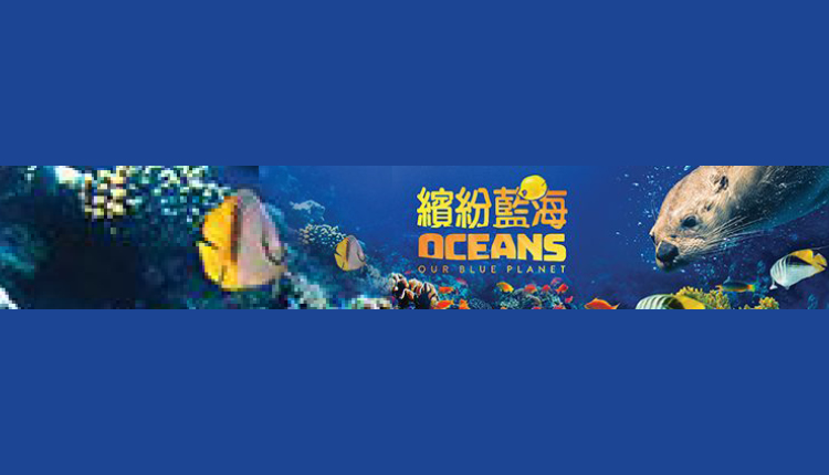 7月至10月假日好去处