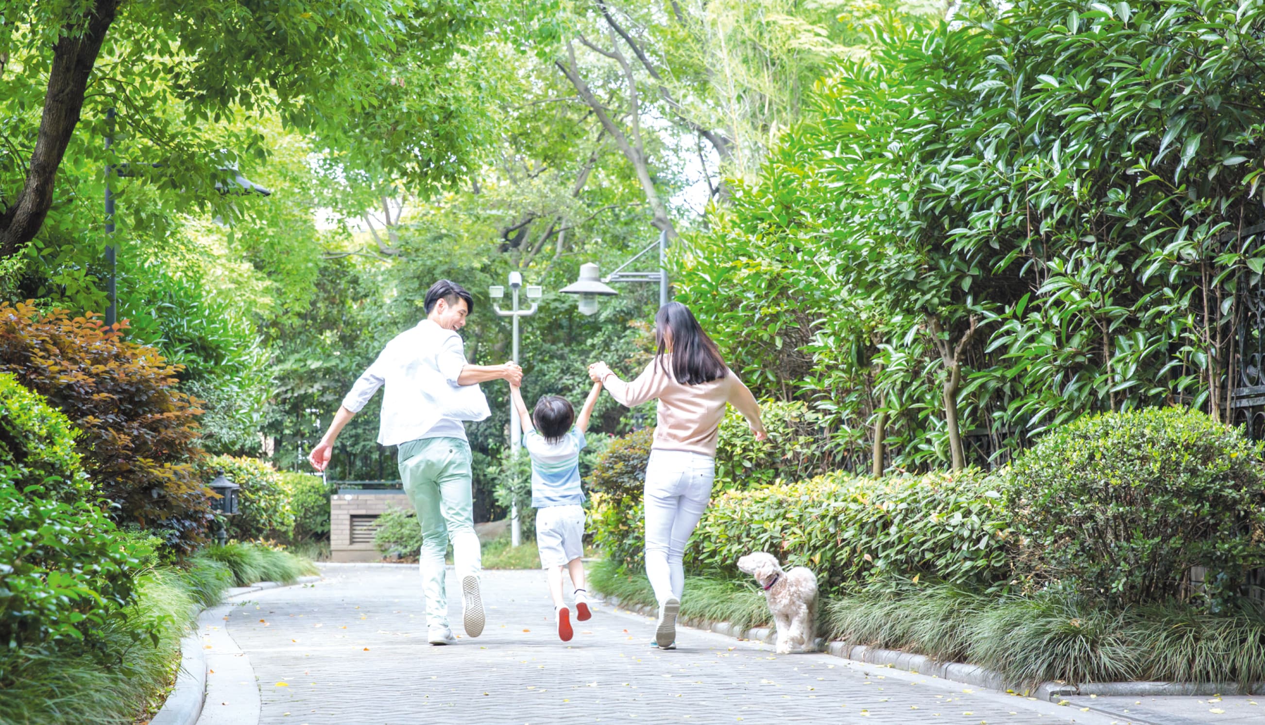 「全面学位化」与多元人生