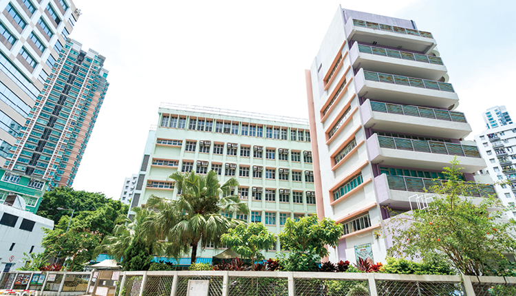 天主教领岛学校