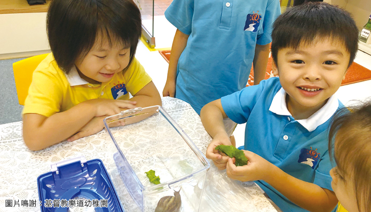 在幼稚园进行适切的电子教学