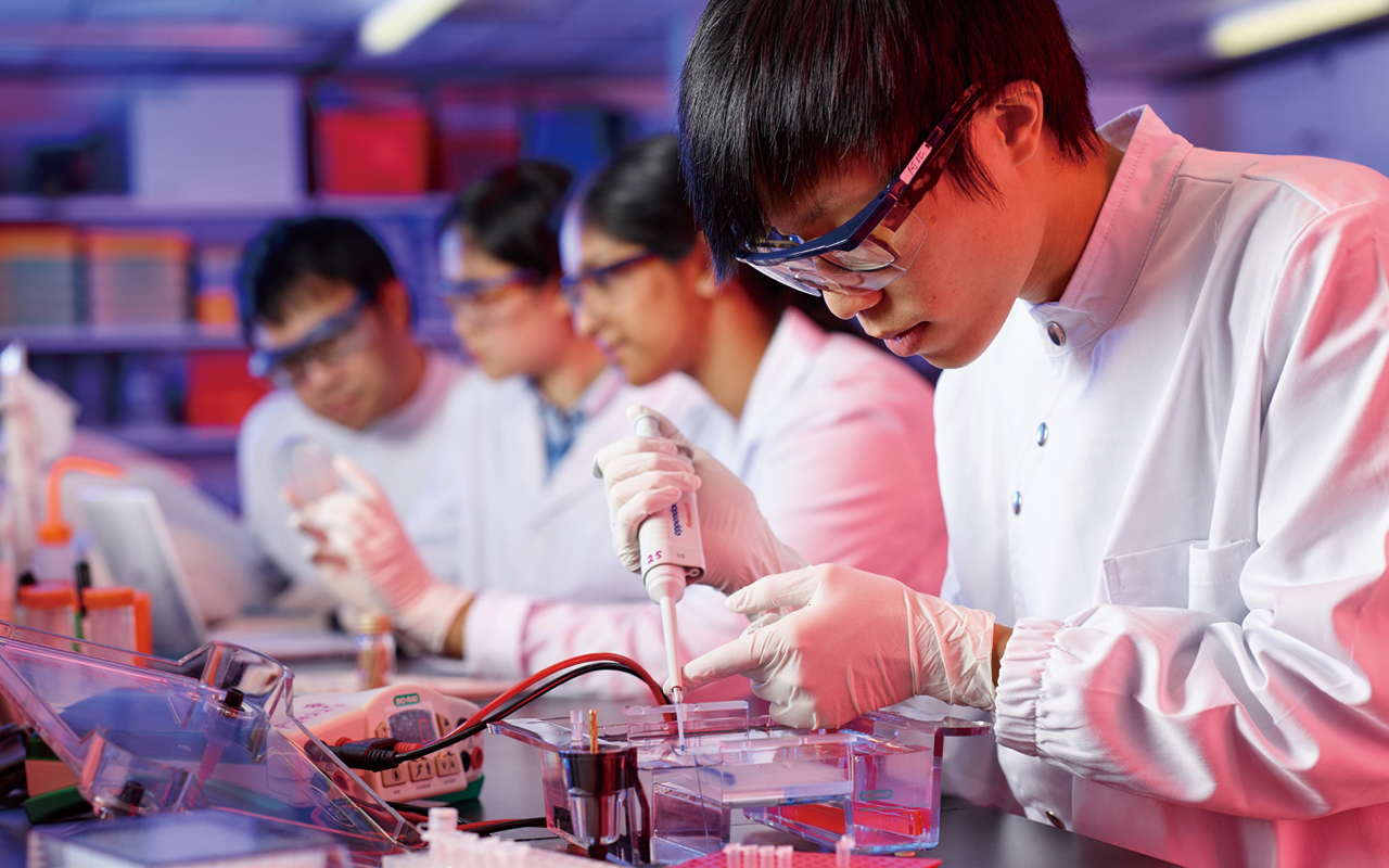 香港城市大学理学院