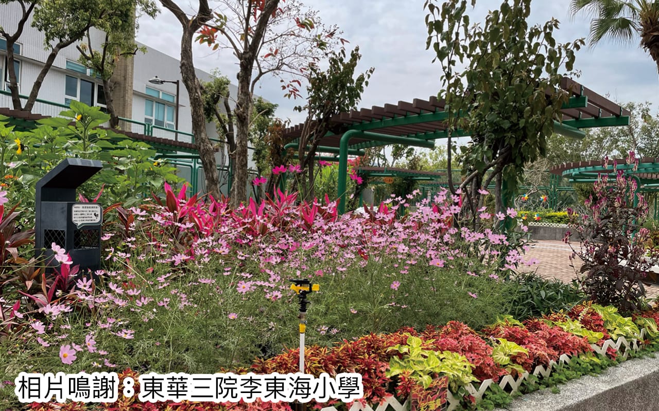 专访东华三院李东海小学卢震河校长　越过风浪　全新蜕变