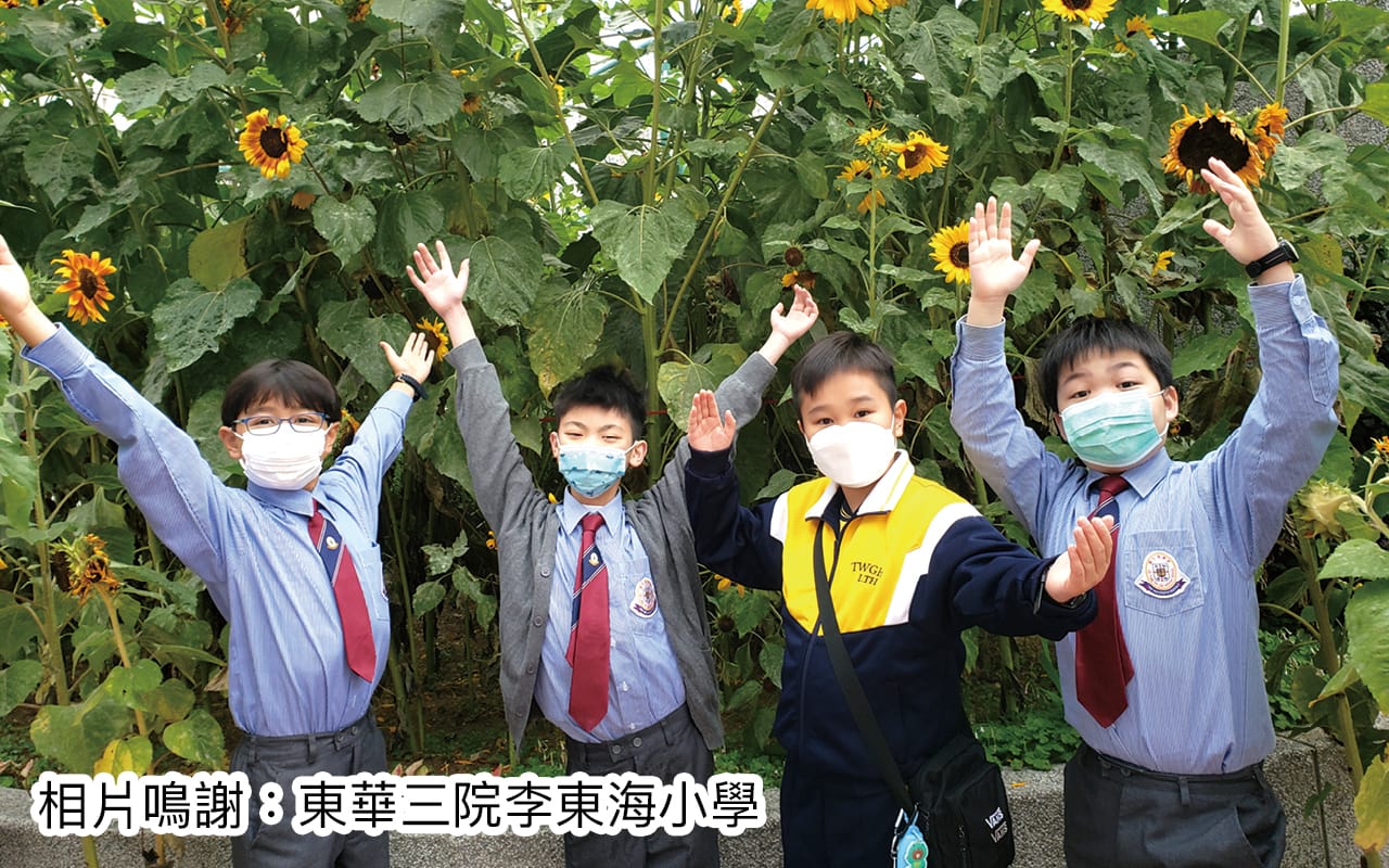 专访东华三院李东海小学卢震河校长　越过风浪　全新蜕变