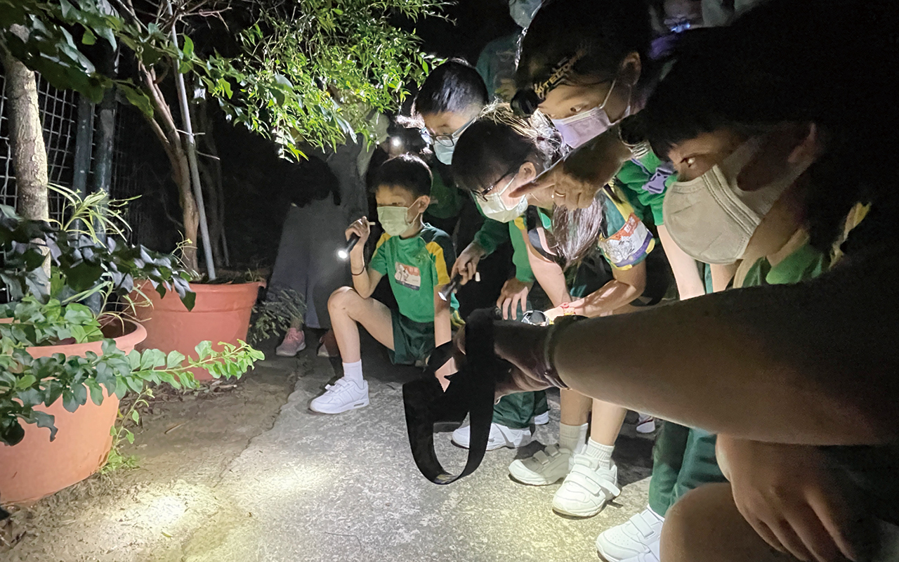夜间户外学习