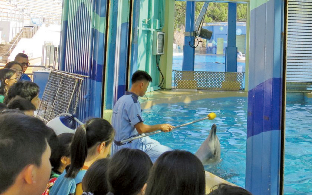 认识海洋生物