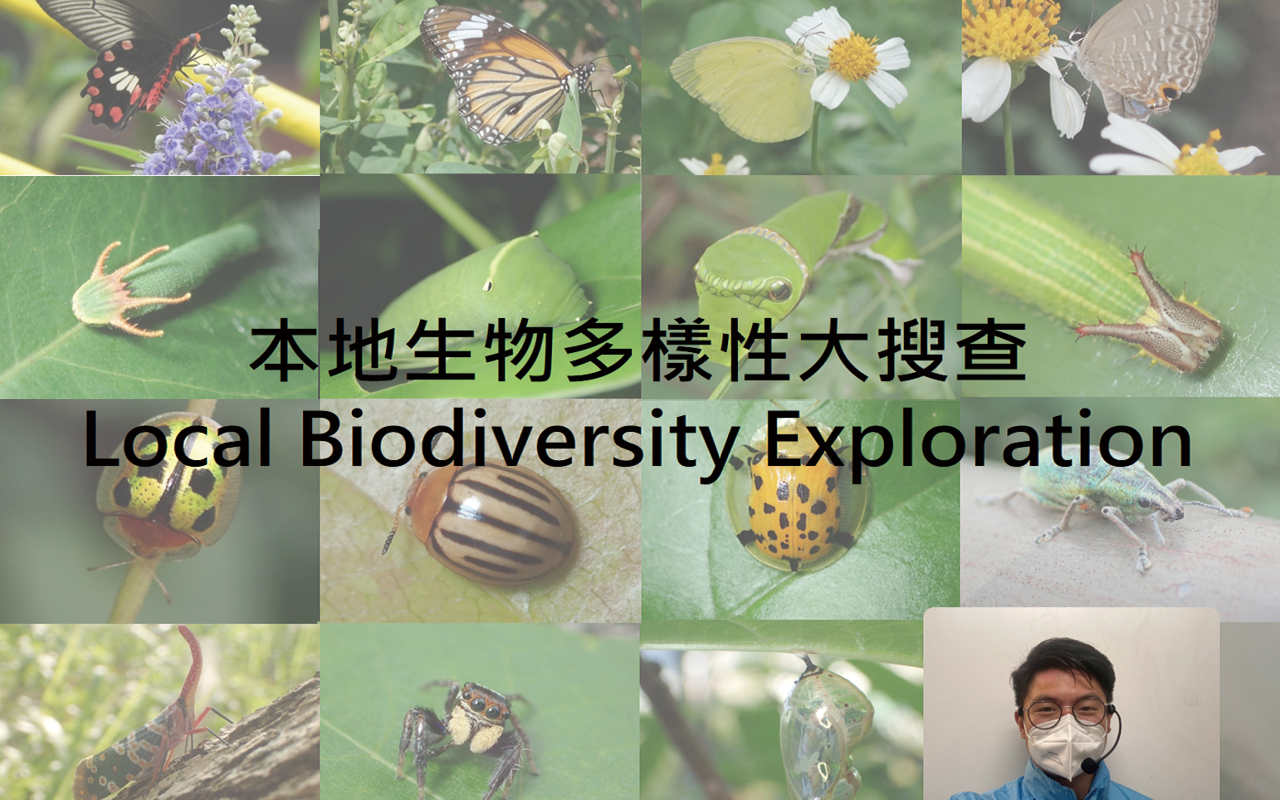本地生物多样性大搜查