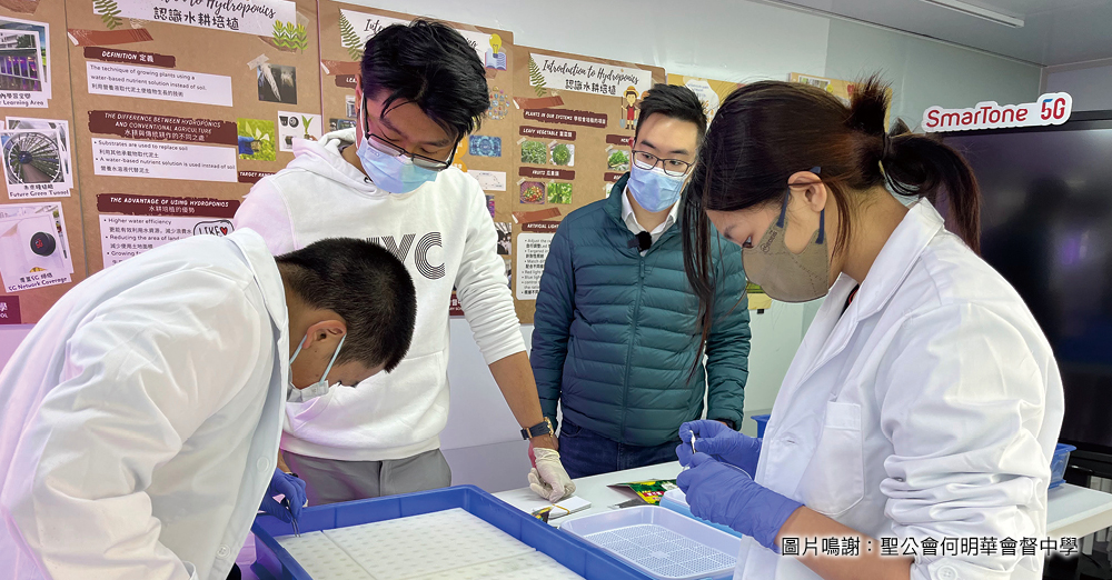 收集植物的生长数据