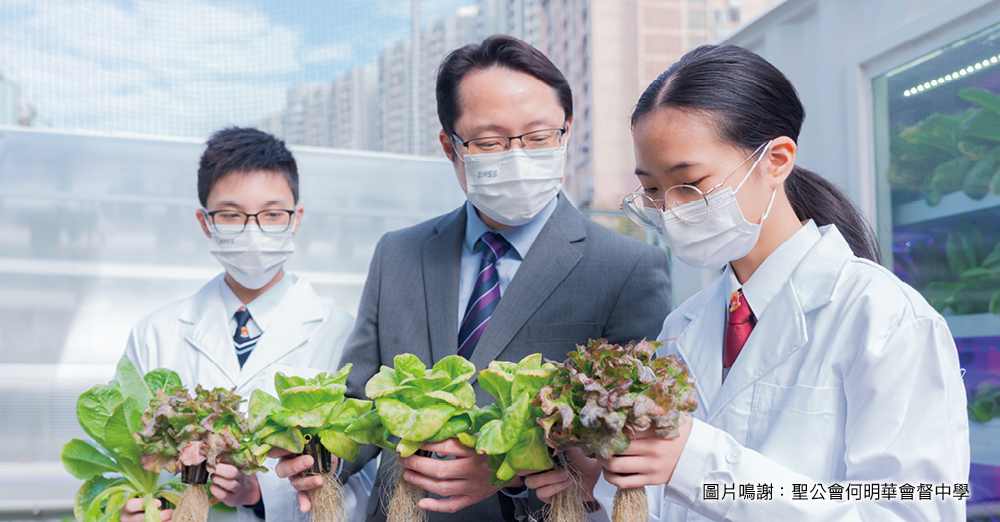 种植中草药